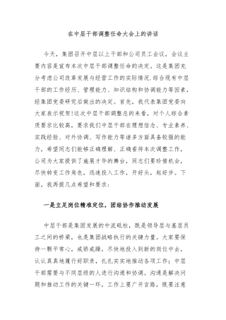 在中层干部调整任命大会上的讲话