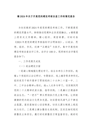 镇2024年关于开展党的建设考核自查工作的情况报告