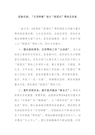 经验交流：“五项举措”助力“组团式”帮扶见实效