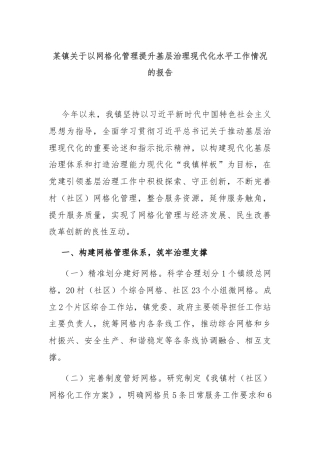 某镇关于以网格化管理提升基层治理现代化水平工作情况的报告