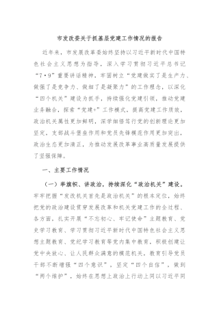 市发改委关于抓基层党建工作情况的报告