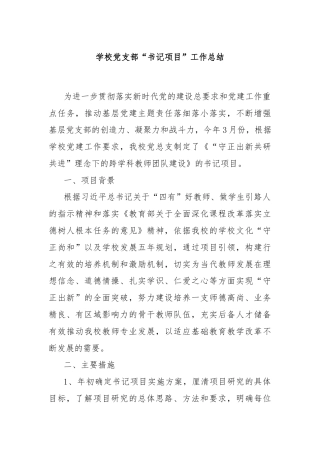 学校党支部“书记项目”工作总结