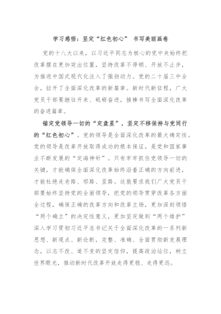 学习感悟：坚定“红色初心” 书写美丽画卷