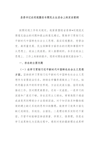 县委书记在巡视整改专题民主生活会上的发言提纲