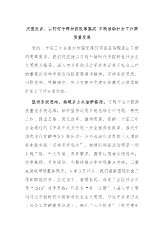 交流发言：以钉钉子精神抓改革落实 不断推动社会工作高质量发展