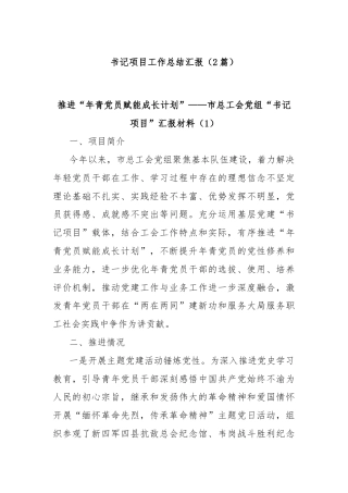 (2篇)书记项目工作总结汇报