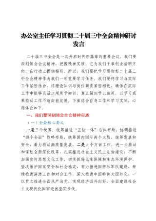 办公室主任学习贯彻二十届三中全会精神研讨发言
