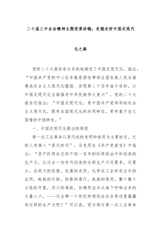 二十届三中全会精神主题党课讲稿：走稳走好中国式现代化之路