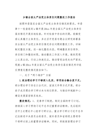 乡镇全面从严治党主体责任问题整改工作报告