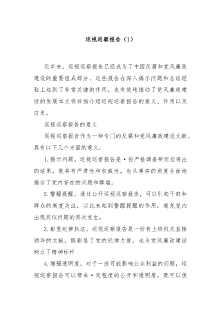 巡视巡察报告（1）