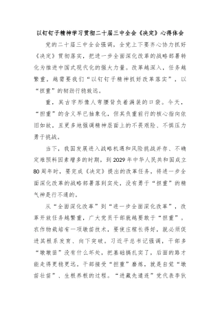 以钉钉子精神学习贯彻二十届三中全会《决定》心得体会