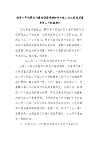 铸牢中华民族共同体意识推动新时代乡镇人大工作高质量发展工作经验材料