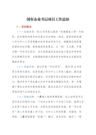 国有企业书记项目工作总结