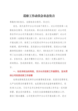 巡察工作动员会表态发言