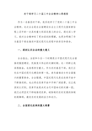 村干部学习二十届三中全会精神心得感悟