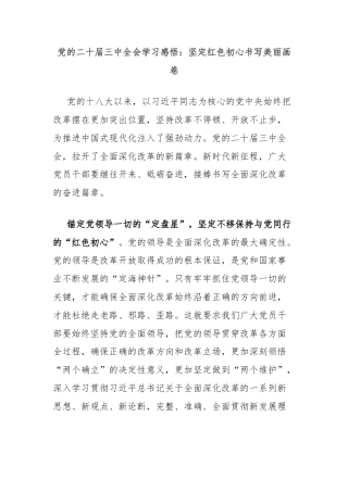 党的二十届三中全会学习感悟：坚定红色初心书写美丽画卷