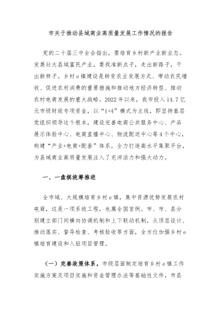 市关于推动县域商业高质量发展工作情况的报告