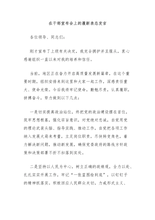 在干部宣布会上的履新表态发言