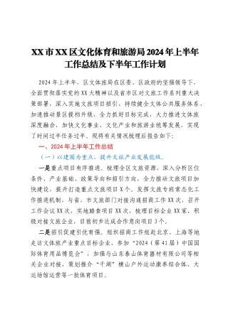 XX市XX区文化体育和旅游局 2024年上半年工作总结及下半年工作计划