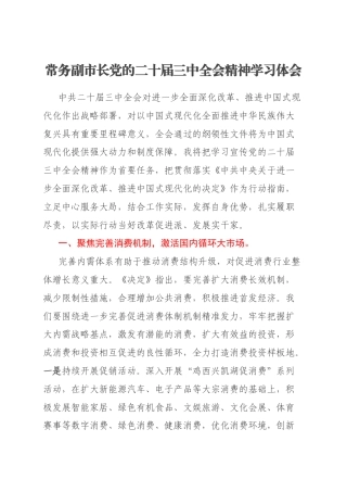 常务副市长党的二十届三中全会精神学习体会