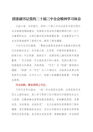 团委副书记党的二十届三中全会精神学习体会