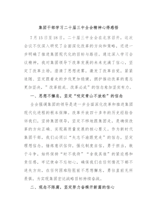 集团干部学习二十届三中全会精神心得感悟