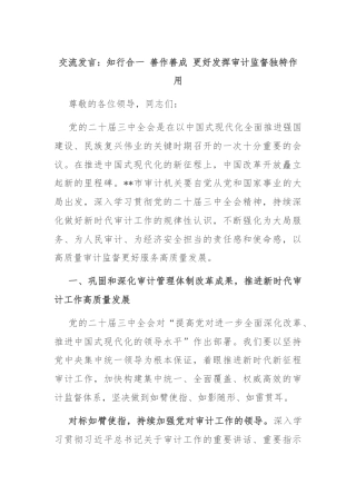 交流发言：知行合一 善作善成 更好发挥审计监督独特作用