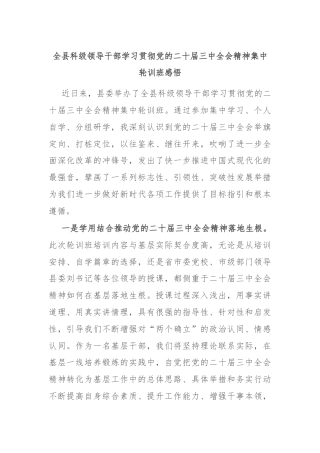 全县科级领导干部学习贯彻党的二十届三中全会精神集中轮训班感悟