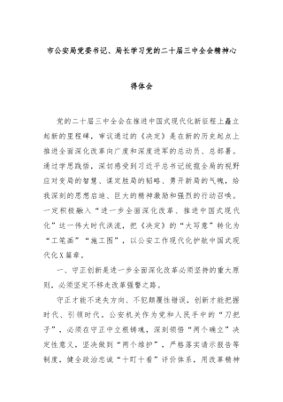 市公安局党委书记、局长学习党的二十届三中全会精神心得体会