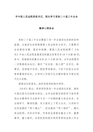 市中级人民法院党组书记、院长学习党的二十届三中全会精神心得体会