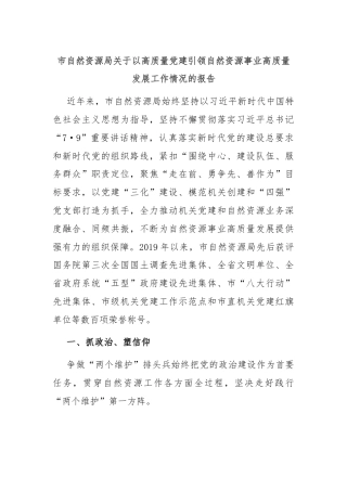 市自然资源局关于以高质量党建引领自然资源事业高质量发展工作情况的报告