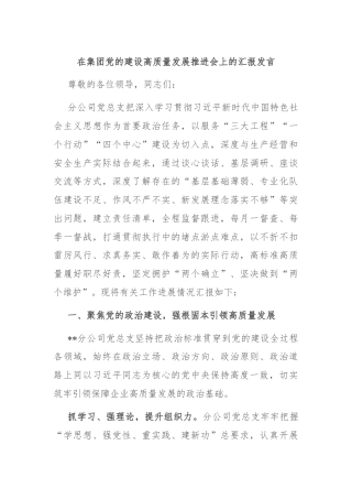 在集团党的建设高质量发展推进会上的汇报发言