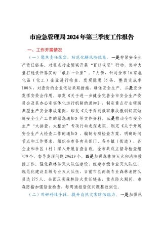 市应急管理局2024年第三季度工作报告