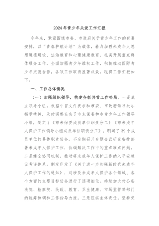 2024年青少年关爱工作汇报