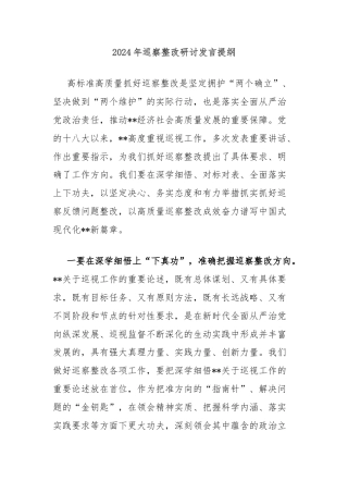 2024年巡察整改研讨发言提纲