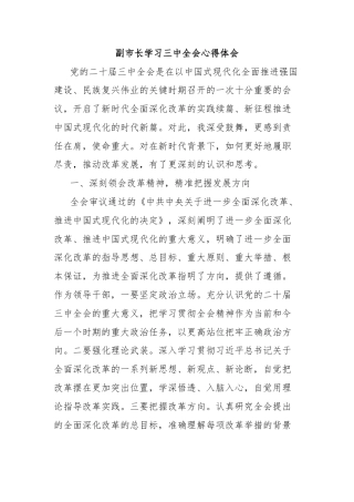 副市长学习三中全会心得体会