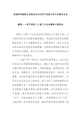 坚持学思践悟主动担当作为以实干实效不折不扣落实全会精神——学习党的二十届三中全会精神心得体会