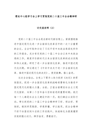 理论中心组学习会上学习贯彻党的二十届三中全会精神研讨交流材料（2）