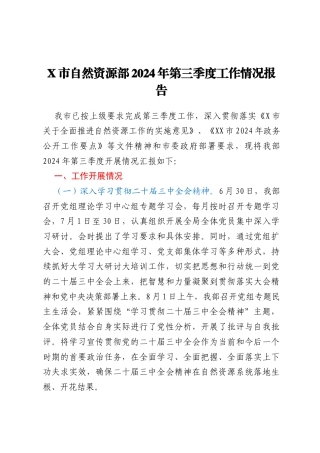 X市自然资源部2024年第三季度工作情况报告