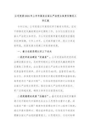 公司党委2024年上半年落实全面从严治党主体责任情况工作汇报