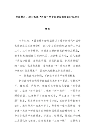 经验材料：精心抓实“四强”党支部建设筑牢新时代战斗堡垒