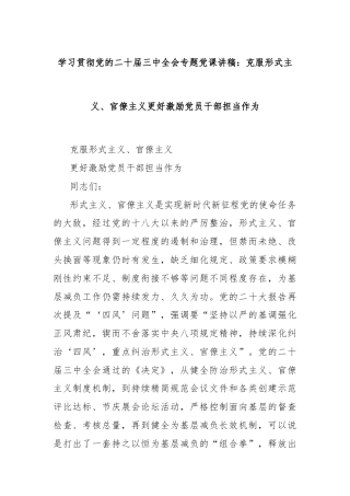 学习贯彻党的二十届三中全会专题党课讲稿：克服形式主义、官僚主义更好激励党员干部担当作为