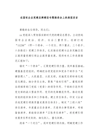 在国有企业党建品牌建设专题推进会上的典型发言