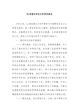 XX局意识形态分析研判报告
