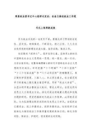 常委政法委书记中心组研讨发言：在奋力推动政法工作现代化上取得新成效