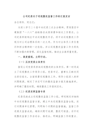 公司纪委关于巡视整改监督工作的汇报发言