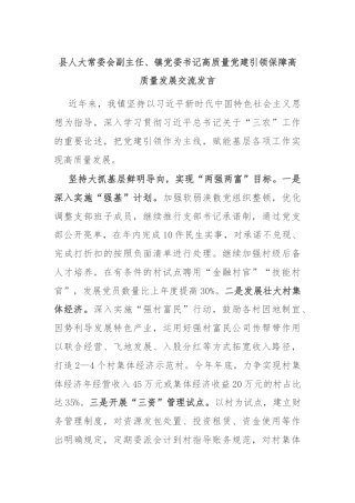 县人大常委会副主任、镇党委书记高质量党建引领保障高质量发展交流发言