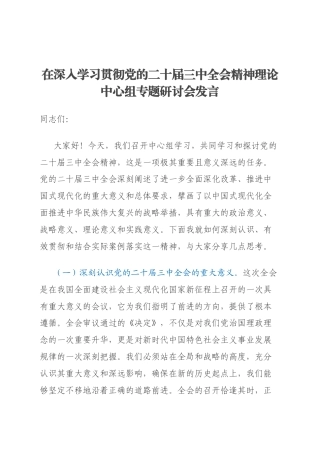 在深入学习贯彻党的二十届三中全会精神理论中心组专题研讨会发言