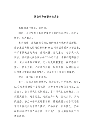 国企领导任职表态发言