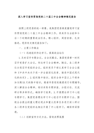 深入学习宣传贯彻党的二十届三中全会精神情况报告
